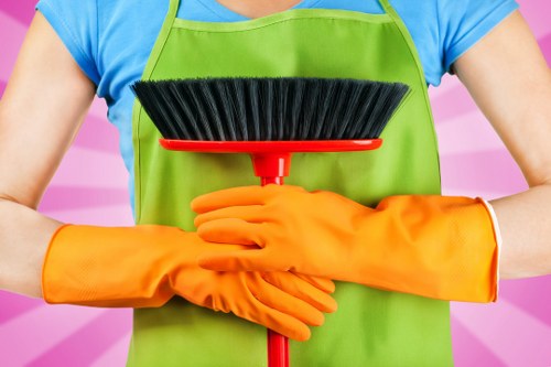 Local cleaner working in a flat near Richmond upon Thames