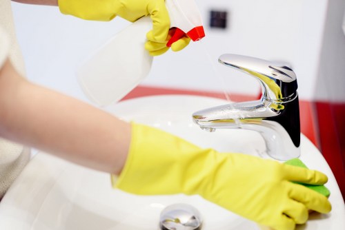 Professional carpet cleaning process in a home or business setting