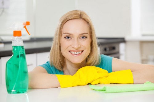 Professional deep cleaning for a Richmond home kitchen