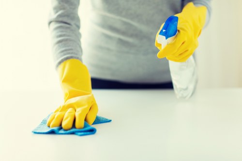 Deep mattress cleaning process for local residential property