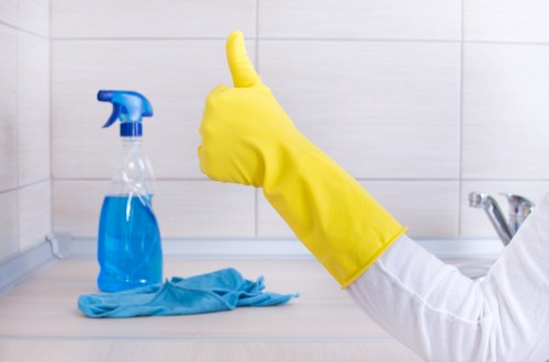 Cleaning equipment and care products used during carpet treatment