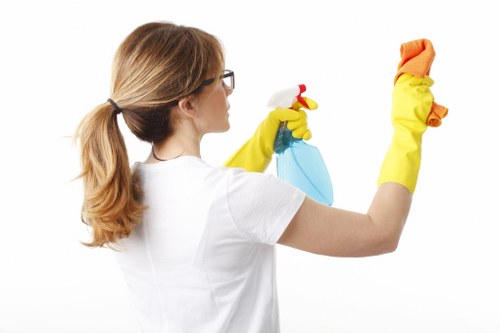 Deep cleaning of a living room sofa and cushions