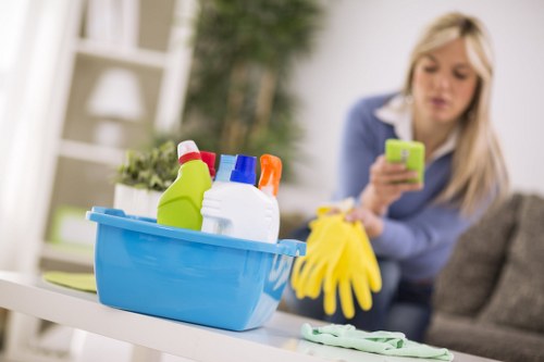 Professional upholstery cleaning process for a fabric sofa