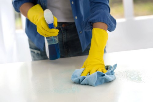 Professional rug cleaning process for delicate fibres
